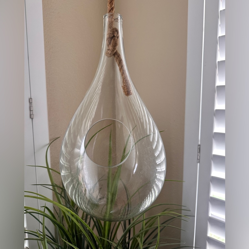 Large Hanging Glass Teardrop Terrarium